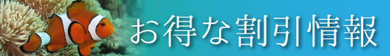 お得な割引情報